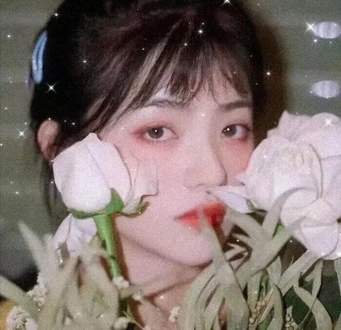 经典推荐