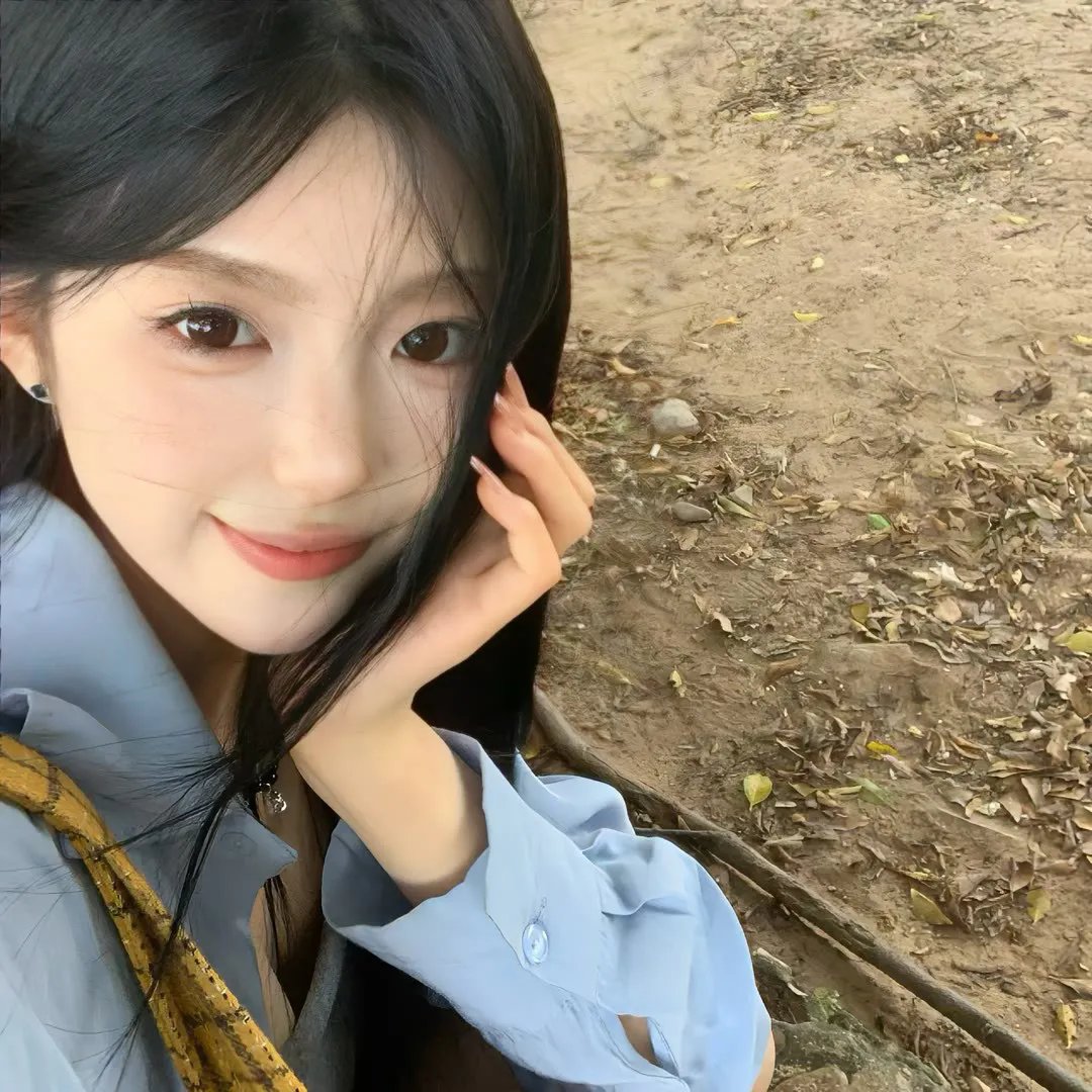 战争姐妹